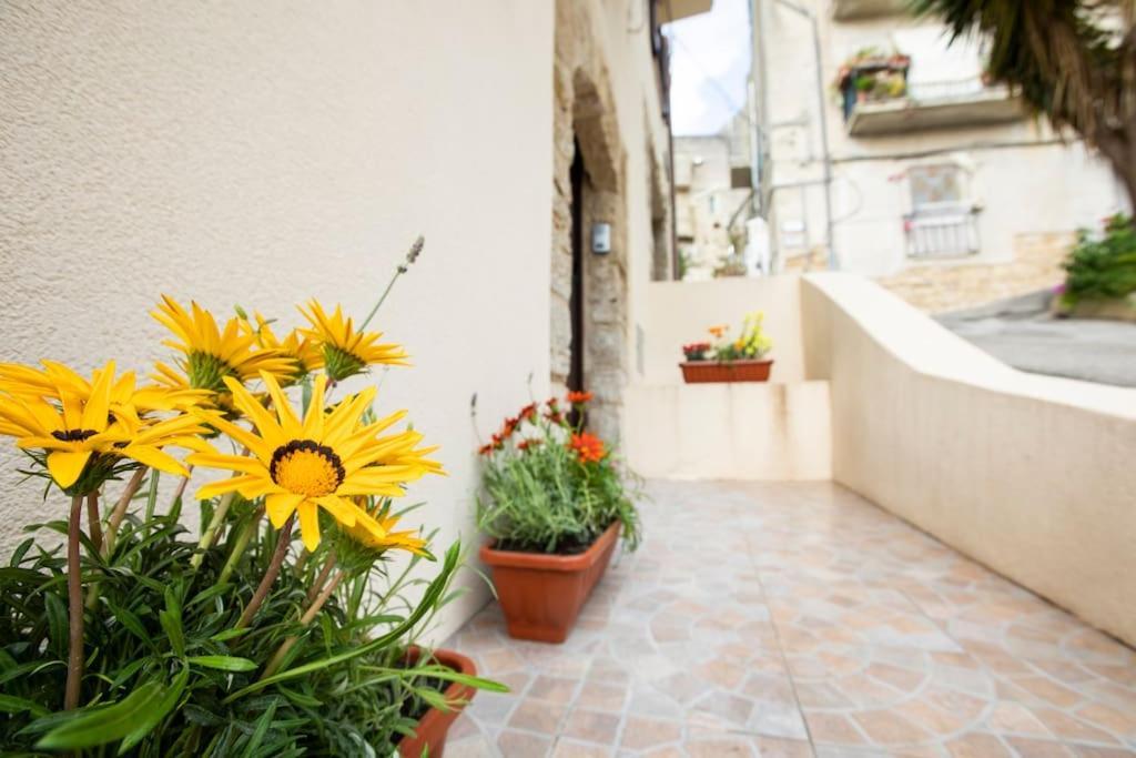 Apartment La Domus Di Segesta 