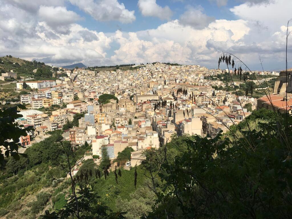 La Domus Di Segesta 